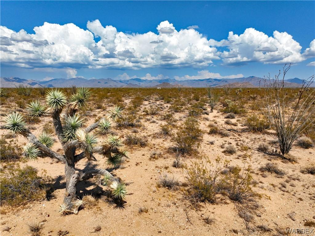 Rainbow, 006274, Yucca, Agriculture,  for sale, Turner Hill Properties